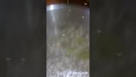 Видео от Олега Апреля.Готовим борщ.