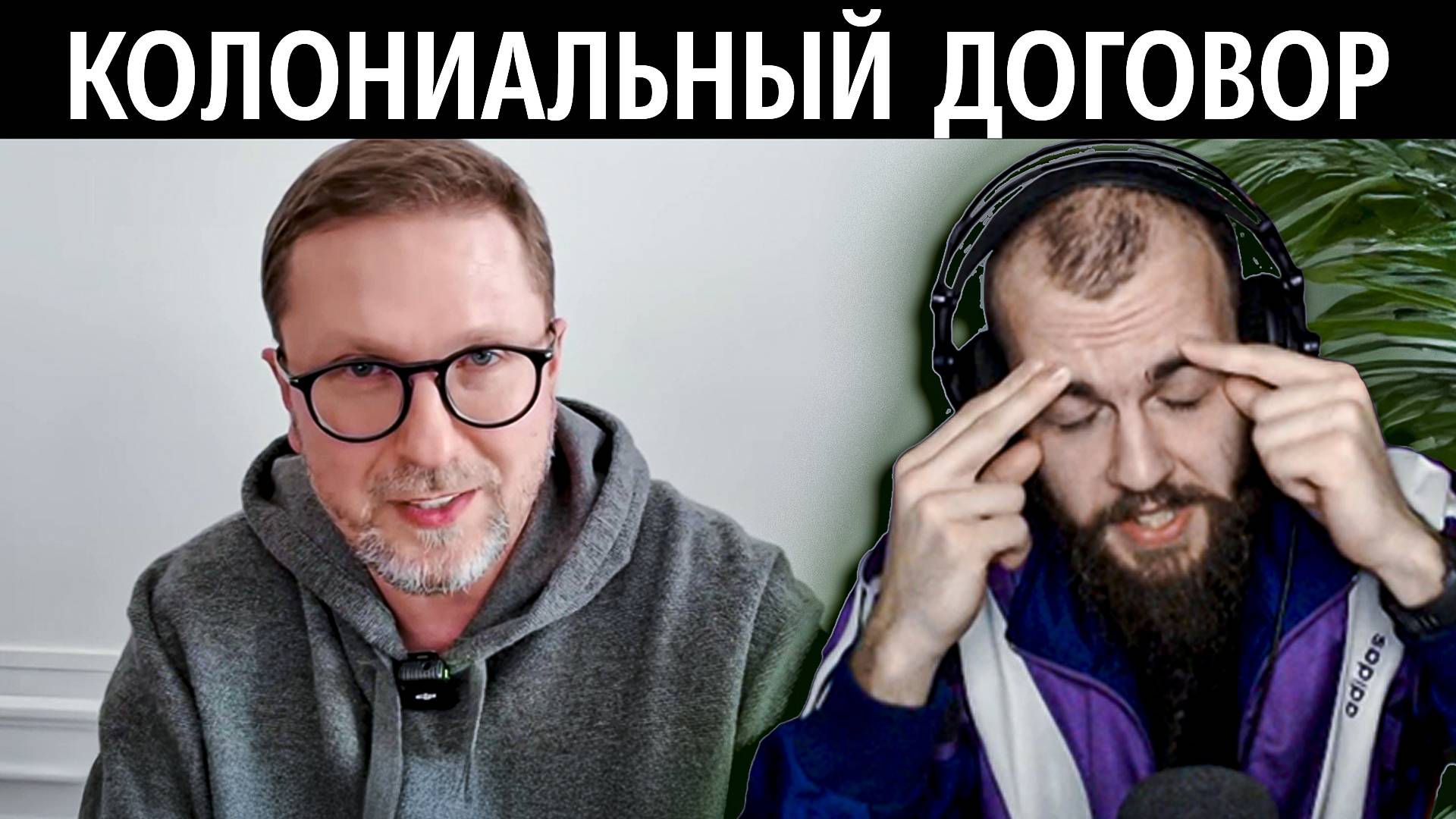 Лебедь смотрит Шария про договор с США