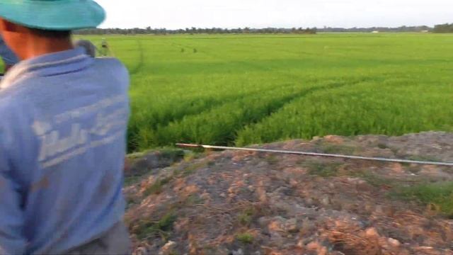 Chủ ruộng chịu chơi sắm máy xịt thuốc 120 triệu về xịt đất nhà