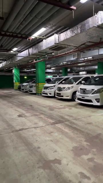 АЛЬФАРДОВЫЙ РАЙ В МОСКВЕ. TOYOTA ALPHARD VELLFIRE #alphard #toyota #vellfire