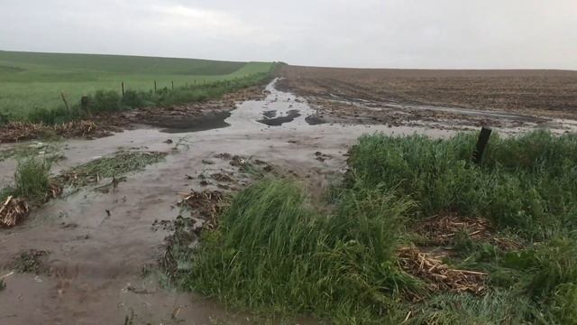 Healthy Soil & Passing it on to the Next Generation