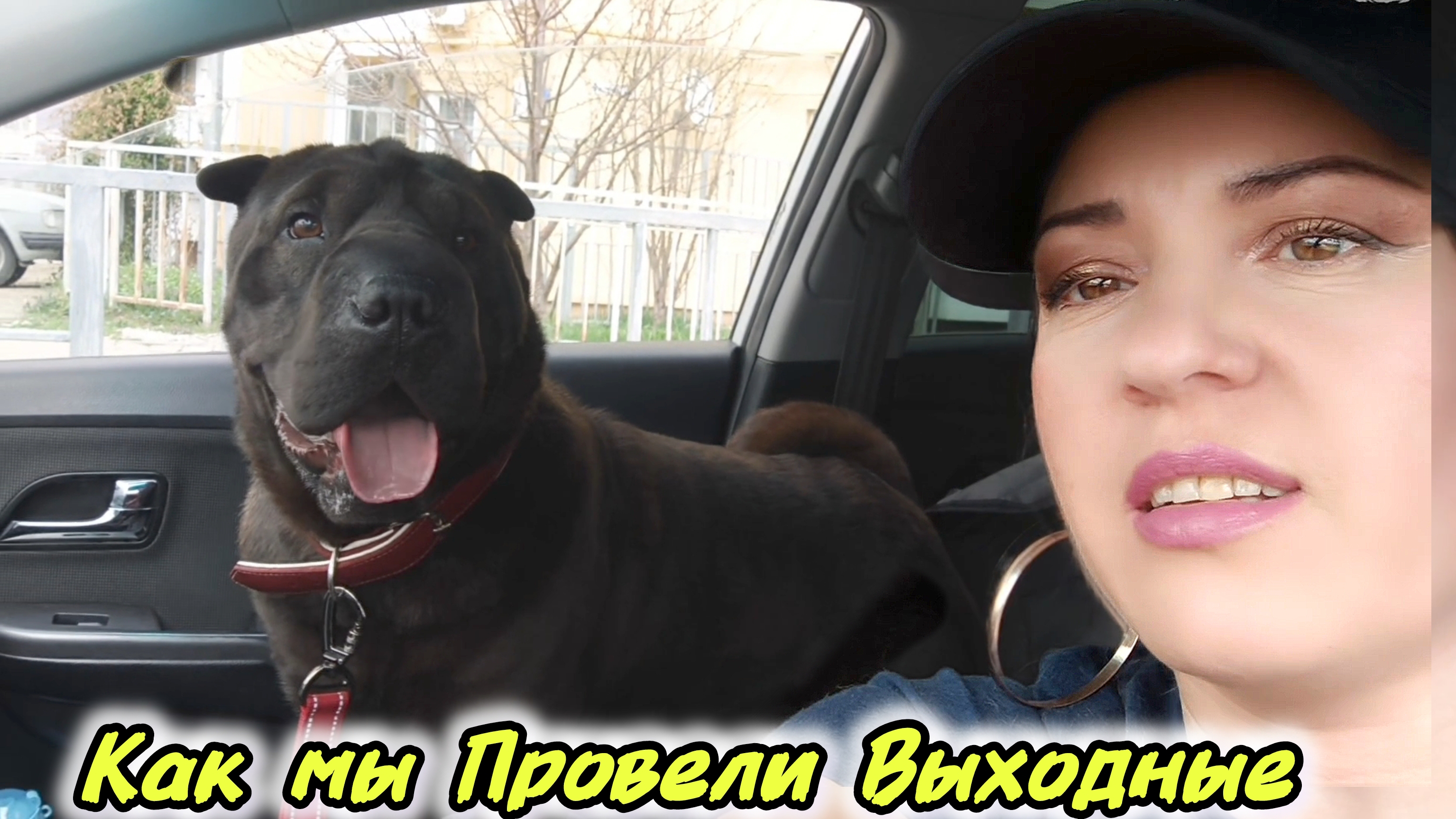 Повезла Шарпея к ГРУМЕРУ✨МУЖ Меняет СТОЛЕШНИЦУ#семья#свойдом