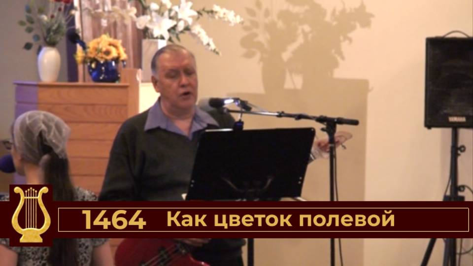 Как цветок полевой (VAS-1504)