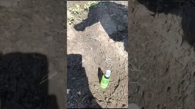 1000033112.mp4
