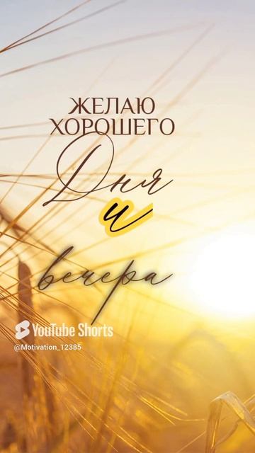Цитата#184 _Прекрасного вечера_ #цитата #motivation  #shorts