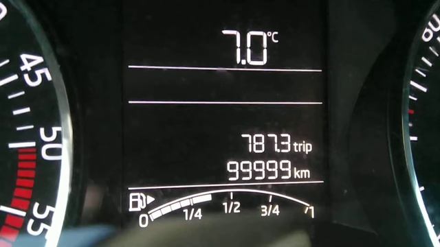 Skoda Rapid 1.4TDI 100000 tyś.