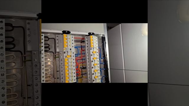 1000020266.mp4 (Собака смотрит на электроснабжение дома А-фрейм)