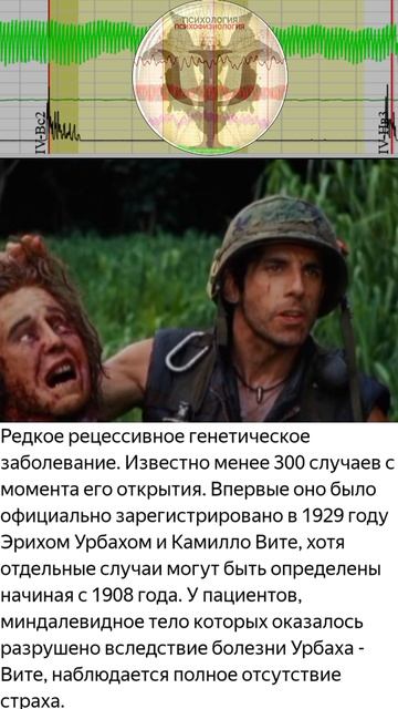 Отсутствие страха.