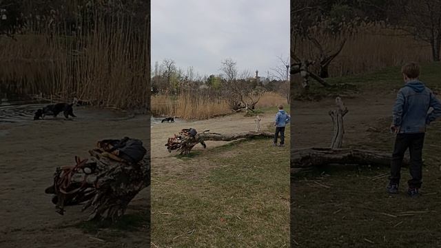 1000103529.mp4