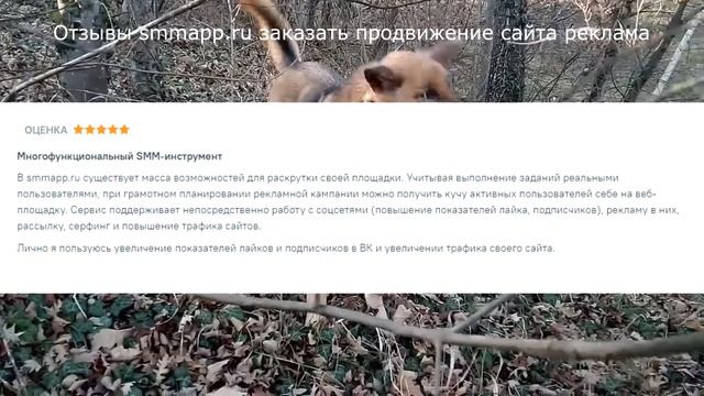 Отзывы smmapp.ru продвижение сайтов ру реклама