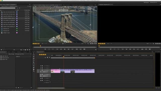 Adobe Premiere Pro Full Tutorial for Beginners? How to use Sequence and Program Window