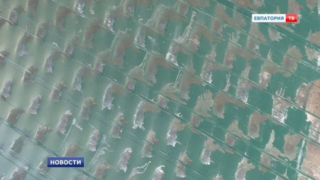 Ремонт мойнакского коллектора