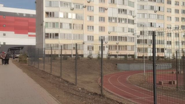 морковь про