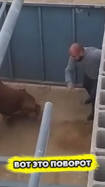 Вот это поворот