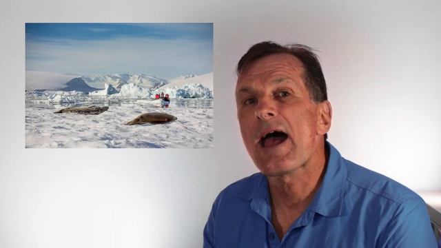 WALRUS | Explore Antarctica & the Arctic with Polartours