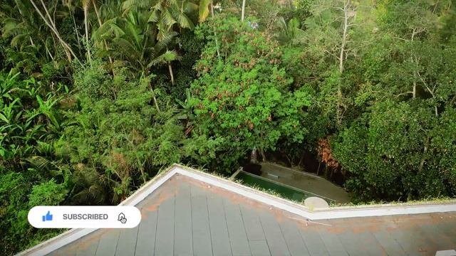 Land in Bali. Lot 0008 Ubud 68 ares. Leasehold. | Земля на Бали. Лот 8.  Убуд 68 соток. Лизхолд.