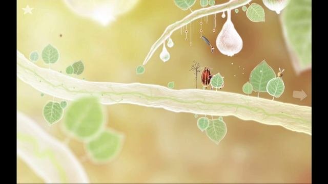 Botanicula прохождение №2