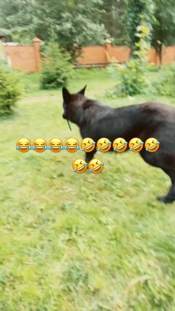 Сначала зрители:Премьера Сенсация и в итоге😂🤣
