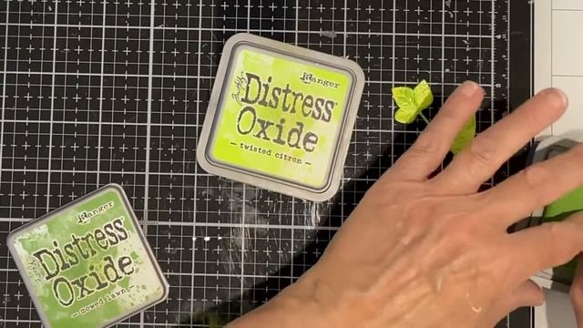 Stretching Your Stencils with Ink Lifting featuring Picket Fence Studio's Shadow of Leaves