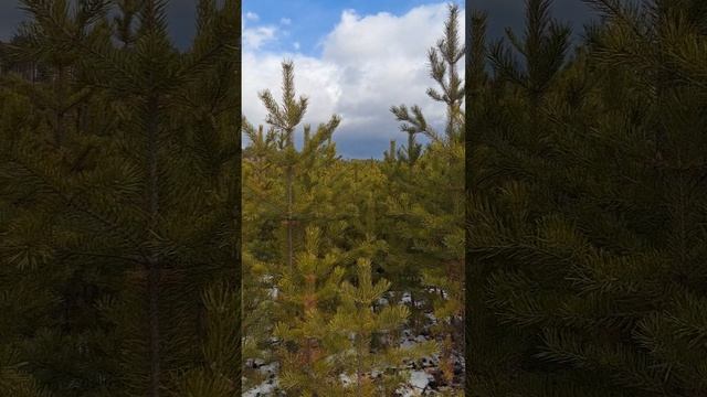 Красивый вид на город Улан-Удэ, в районе Комушки