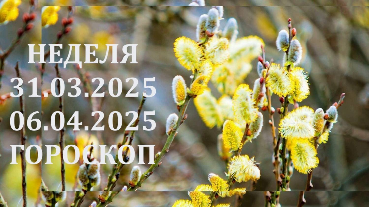 ⭐ ПРОГНОЗ НА НЕДЕЛЮ С 31.03.2025 ПО 06.04.2025 ⭐ Контакты floransia@yandex.ru