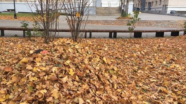 Осень в Ижевске