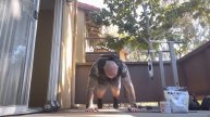 400 2-pump burpees (800 pushups) w/ 25lb weight vest. Why not right ?