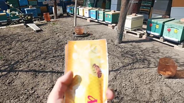 Обработки от клеща, после выпуска маток из изоляции.