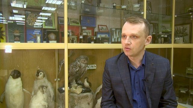 А кто папа? В вольере Кольского залива при странных обстоятельства родился тюленёнок