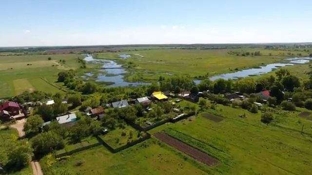 Аисты летят домой