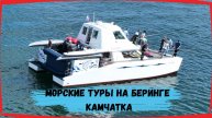 Авторские морские туры на катамаране Беринг. Камчатка.