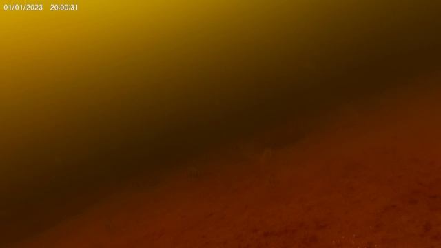 РЫБАЛКА НА ЛЕНЕВСКОМ ВОДОХРАНИЛИЩЕ