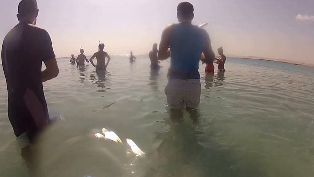Sharm El Loli "la spiaggia delle perle"   di Natale Reboldi
