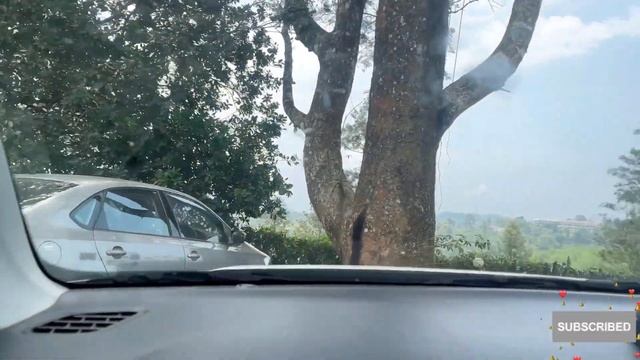 മൂഞ്ചിപ്പോയ ബംഗ്ലാവ് stay 😓/ 100 വർഷം പഴക്കമുള്ള ബംഗ്ലാവ് /Rippon Heritage Bunglow-British Bungalow