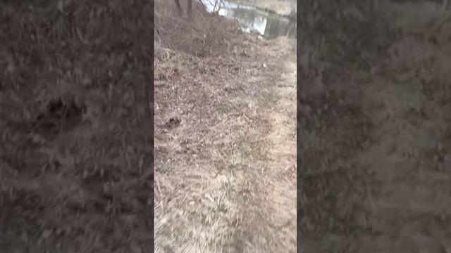 1000043244.mp4