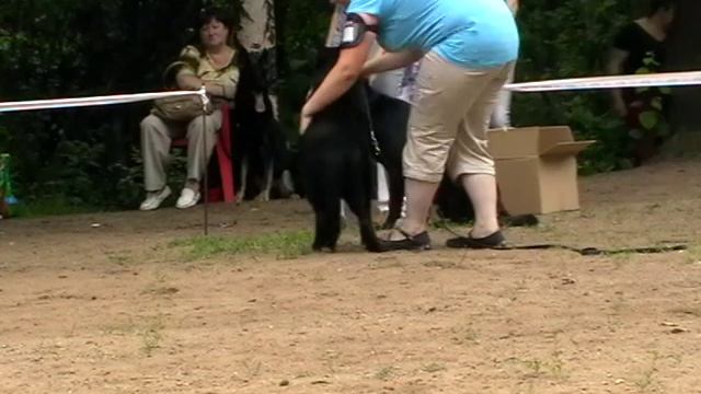 MOV014 Ива