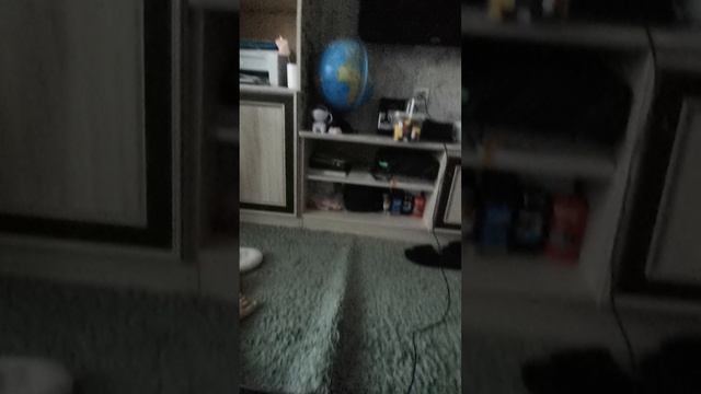 VID_20250401_083539.mp4