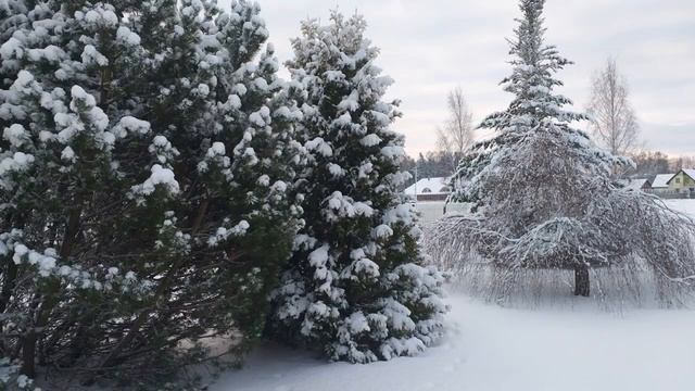 2019 01 16 SNIEGAS❄СНЕГ