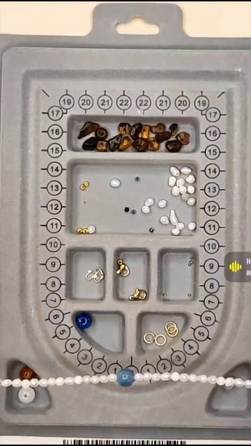 1000004439.mp4