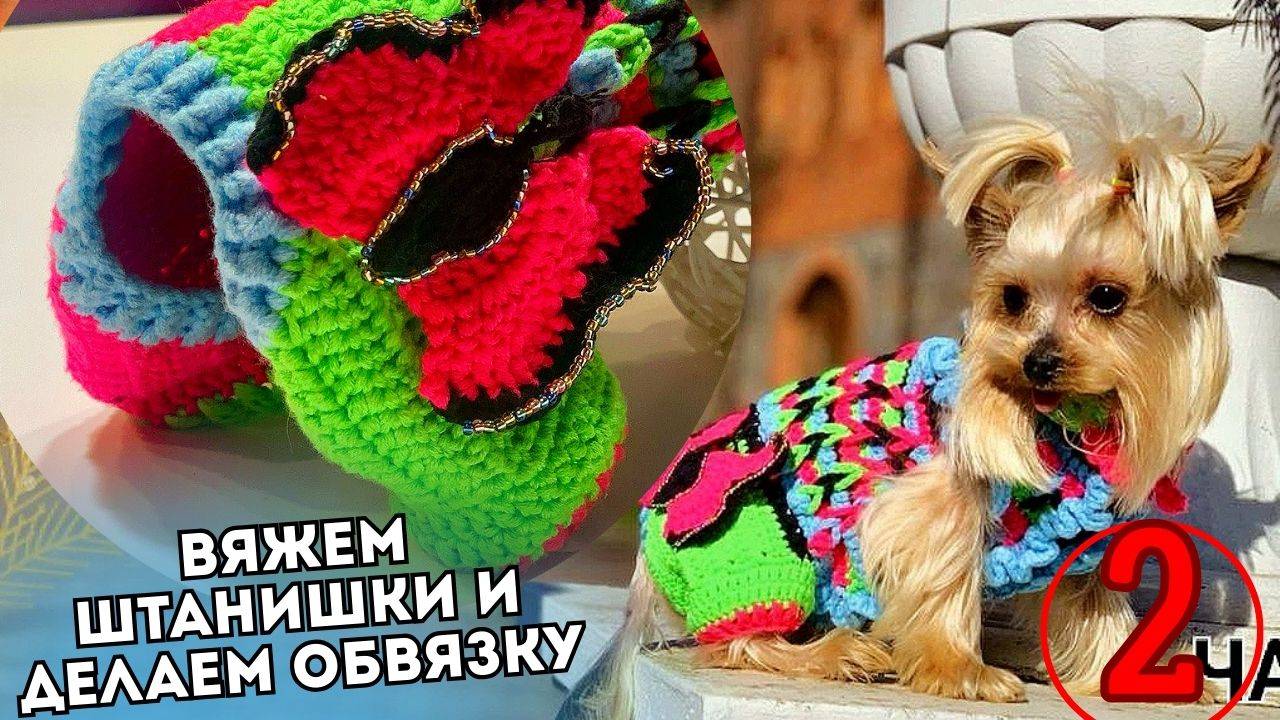 🔹 Комбинезон "Бабочка" для собаки – Часть 2 | Вяжем штаны и обвязку