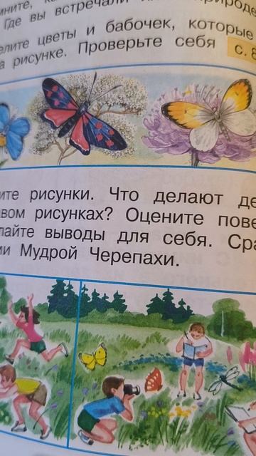 Почему мы не будем ловить бабочек и рвать цветы?