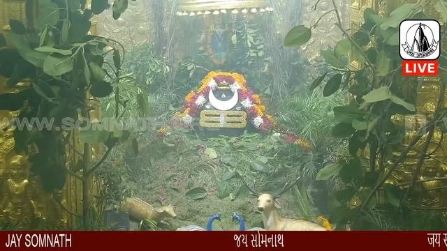 Live - Somnath Temple Shayam Aarti - 29_July-2020