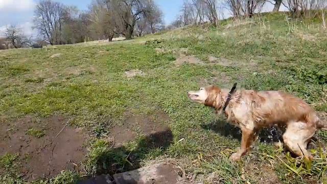 Барские пруды