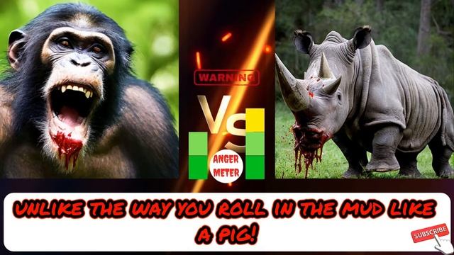 Chimpanzee VS Rhino   Wife discovers evidence of cheating Married Couple Wild Animal Fight 2024