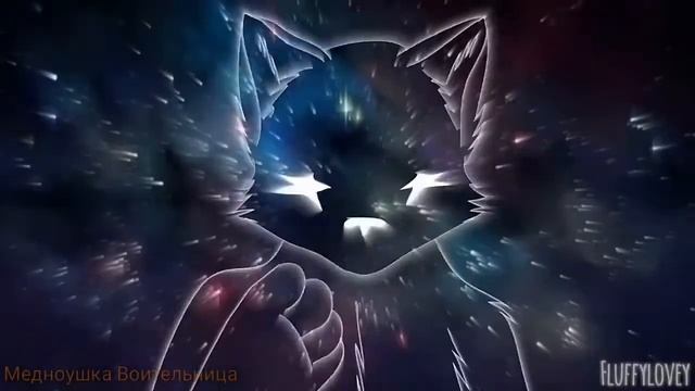 ♧️Коты-Воители♧️ ●️ День и Ночь ~『️Клип в честь 600+』️