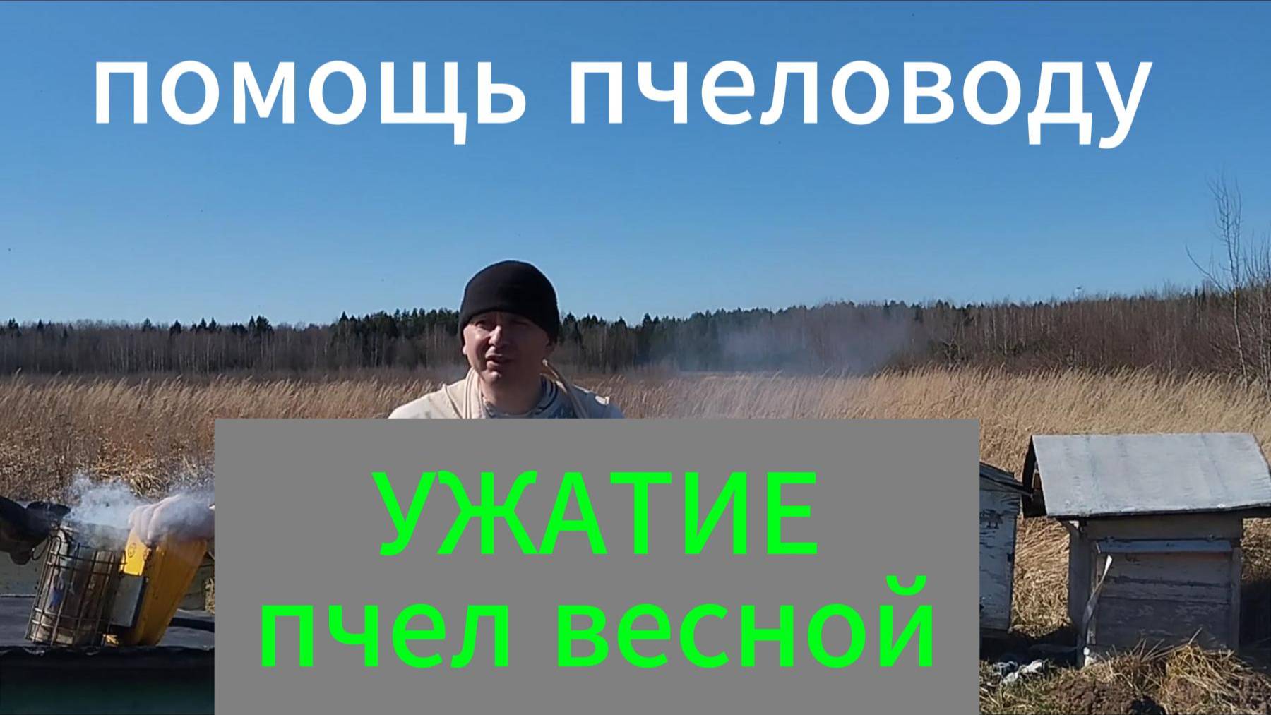 сокращение, ужатие пчел весной