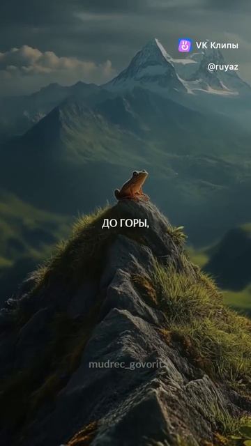 Английский можно выучить и хорошо разговаривать.