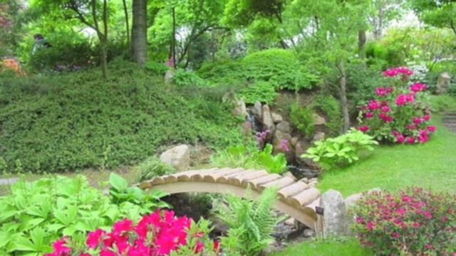 Dance of the Garden - Dick Kait (2010)
