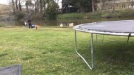Neat video of me and my dogs from 4 years ago