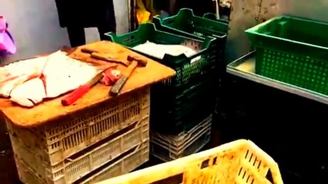 АкваПром: Одесса, Камбала Привоз